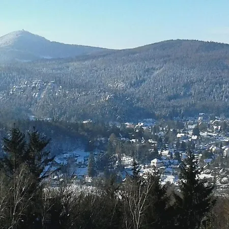 Lauscheblick *